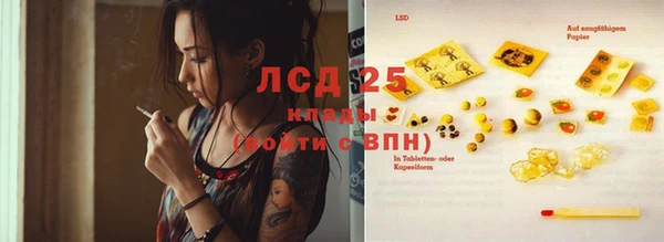 гашик Алзамай