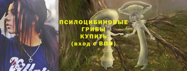 гашик Алзамай